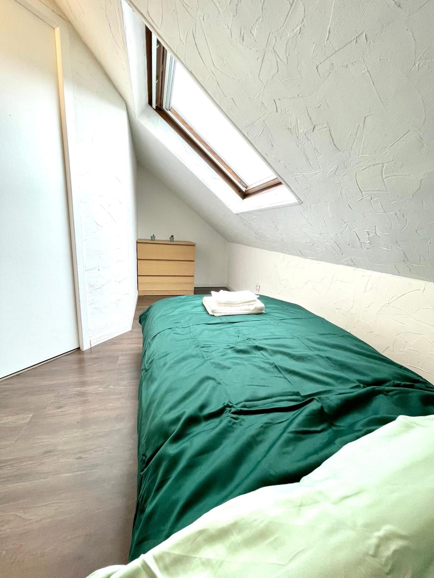 Appartement Duplex 90M2 - 3 Chambres - 뮐루즈 외부 사진