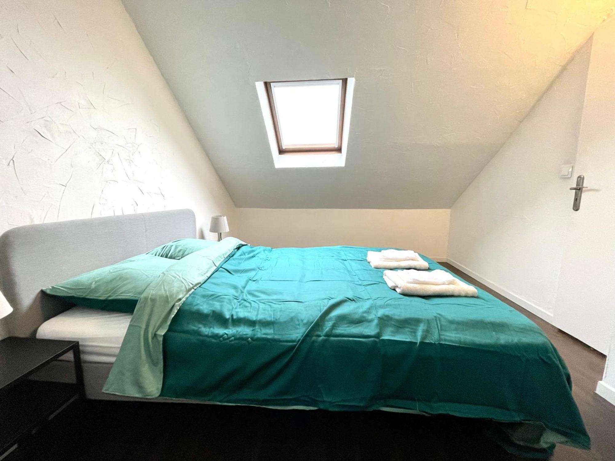 Appartement Duplex 90M2 - 3 Chambres - 뮐루즈 외부 사진